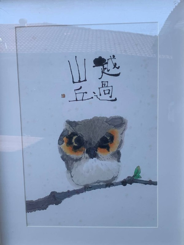 Traditional Chinese Owl Ink Painting