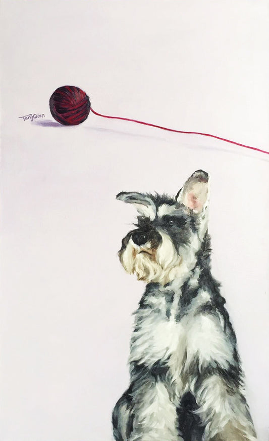 SCHNAUZER